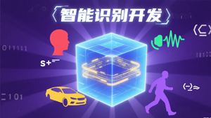 智能识别开发